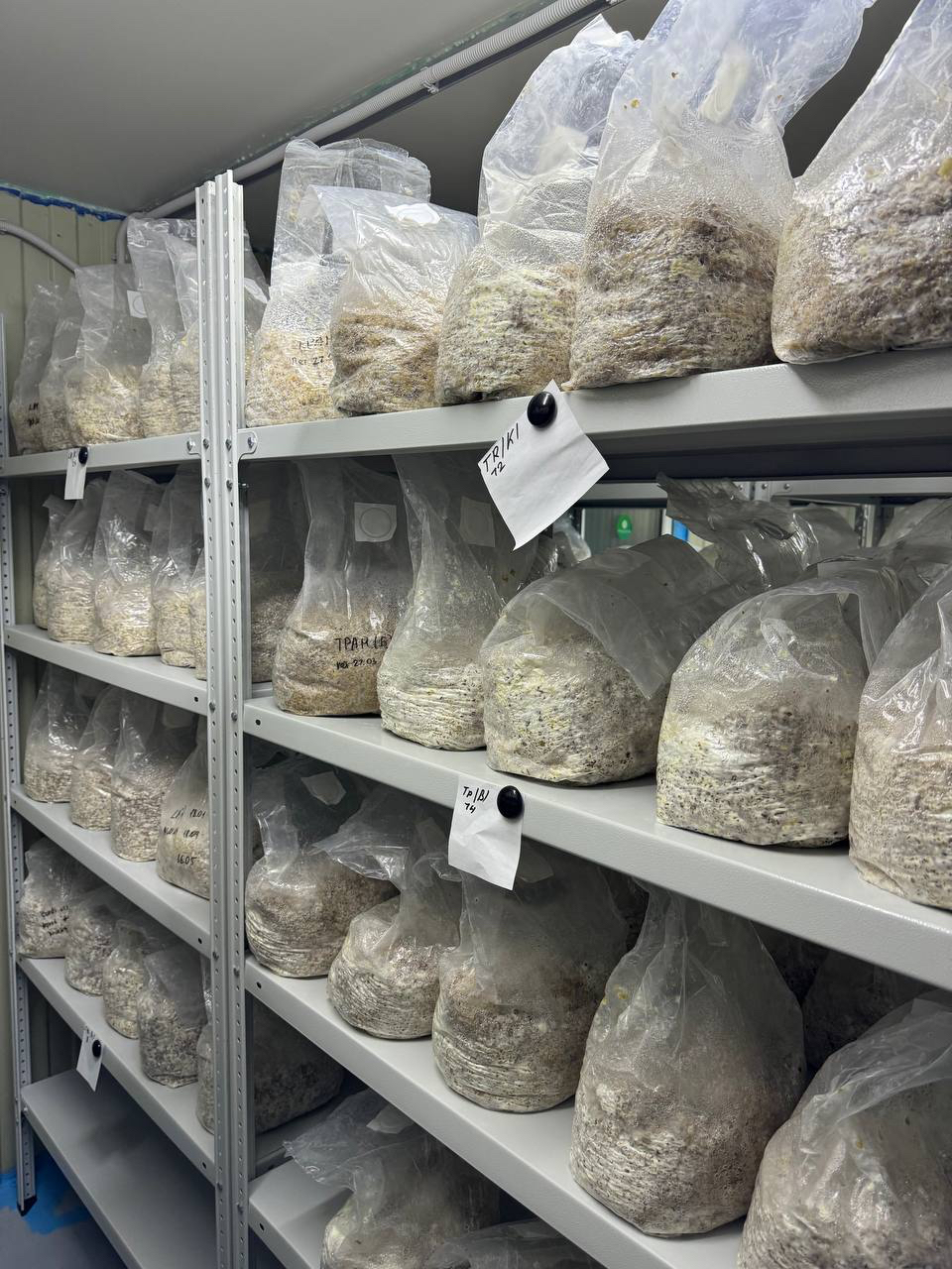 Контрактное производство грибной продукции